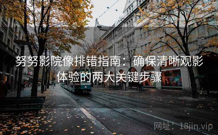 努努影院像排错指南：确保清晰观影体验的两大关键步骤