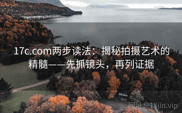 17c.com两步读法：揭秘拍摄艺术的精髓——先抓镜头，再列证据  第2张