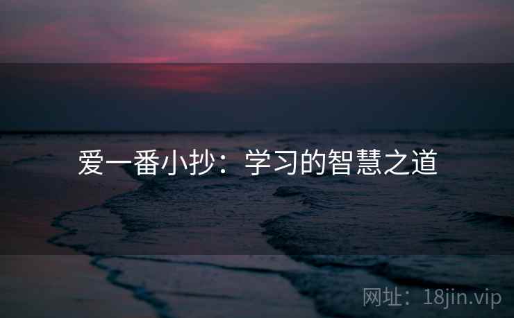 爱一番小抄：学习的智慧之道