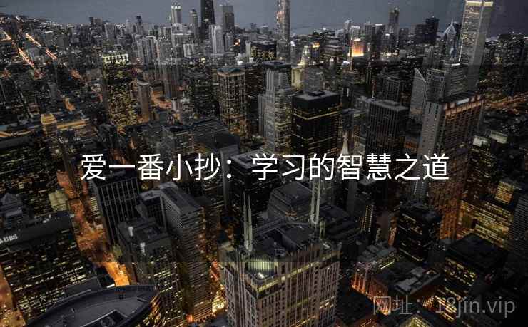 爱一番小抄：学习的智慧之道  第2张