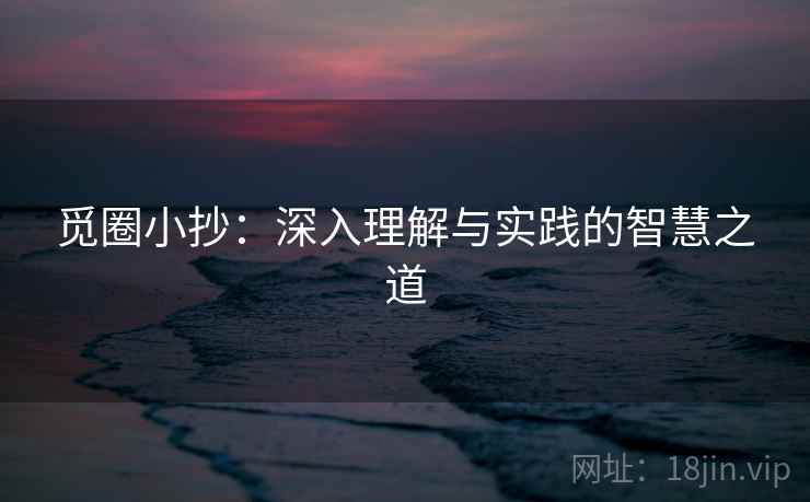 觅圈小抄：深入理解与实践的智慧之道